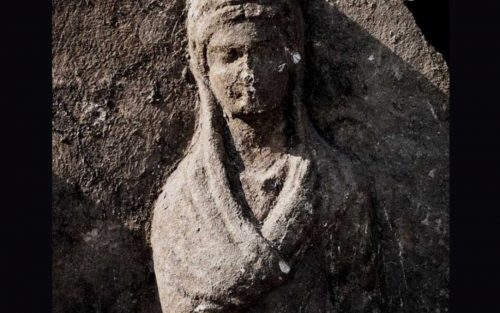 scoperta 1 500x313.jpg