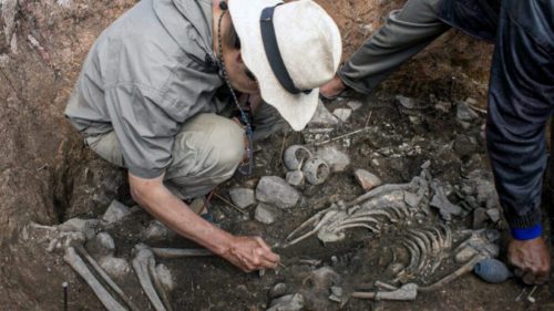 3000 year old priests tomb found in Peru 1 500x281.jpg