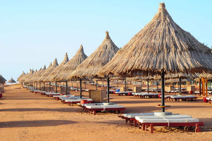 Sunshade umbrellas on the beach with green coconut palms straw s