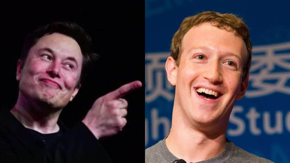 Musk contro Zuckerberg.jpg