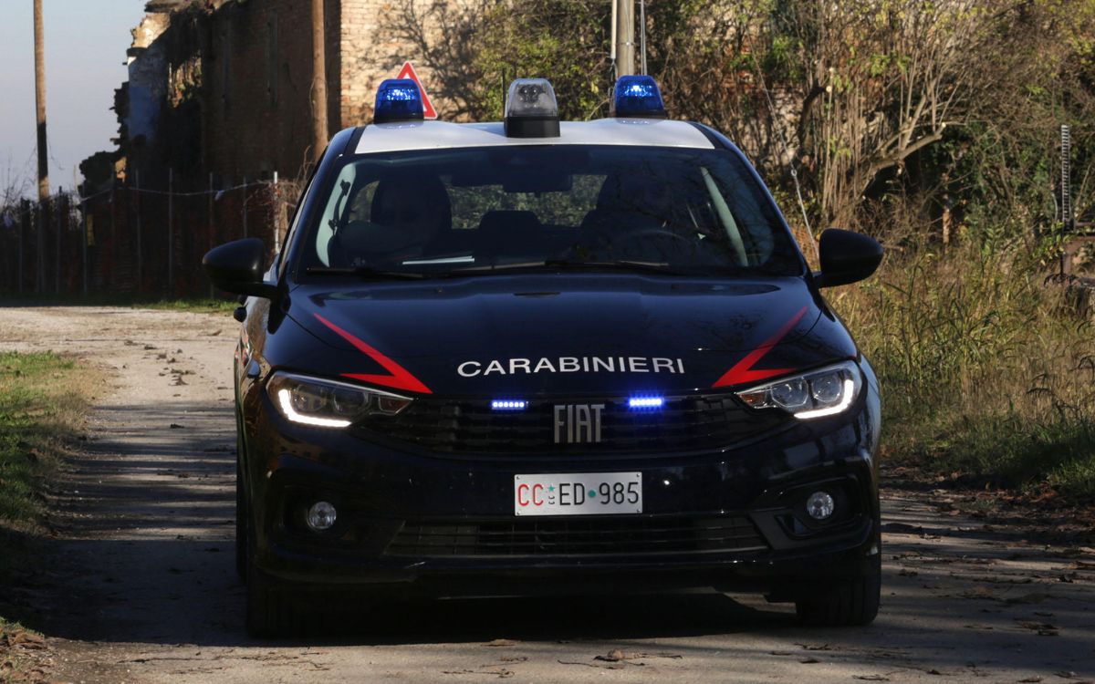 Alessandro Venturelli avvistato a Napoli, la mamma del ragazzo scomparso a Sassuolo quasi tre anni fa: “Aiutatemi a trovarlo” 1 image efb2021a 9eeb 448d ac73 63a707a46523.jpg
