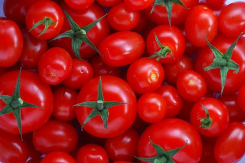 pomodori 500x334.jpg