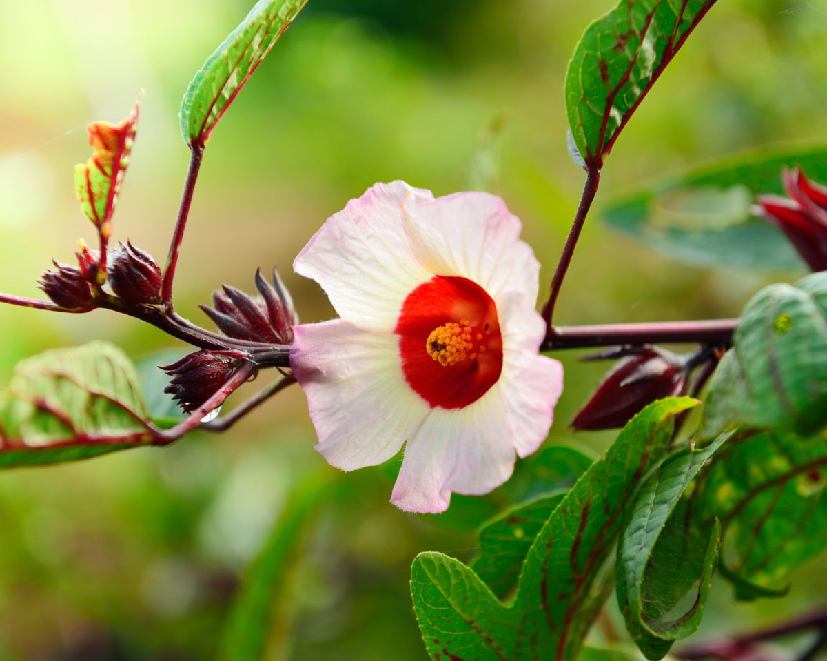 AdobeStock 128631167 scaled.jpeg