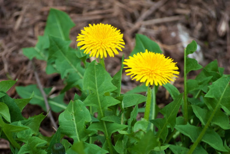 AdobeStock 141156003 scaled.jpeg