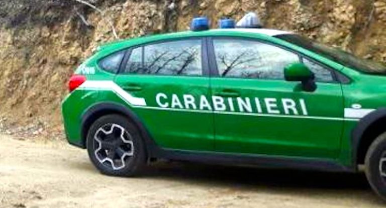 Carabinieri Forestale auto e1521646687382.jpg