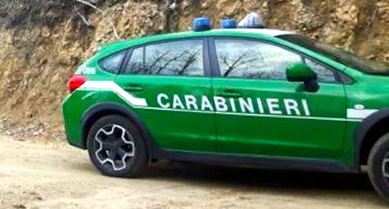 Carabinieri Forestale auto e1521646687382.jpg