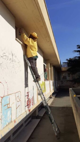 Fare ambiente pronto intervento vespa2 338x600.jpg