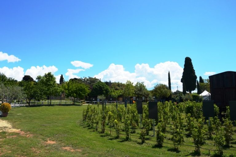La Cittadella di Semi di Pace.jpg