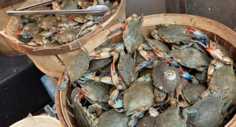 Progetto senza titolo 94 1.jpg