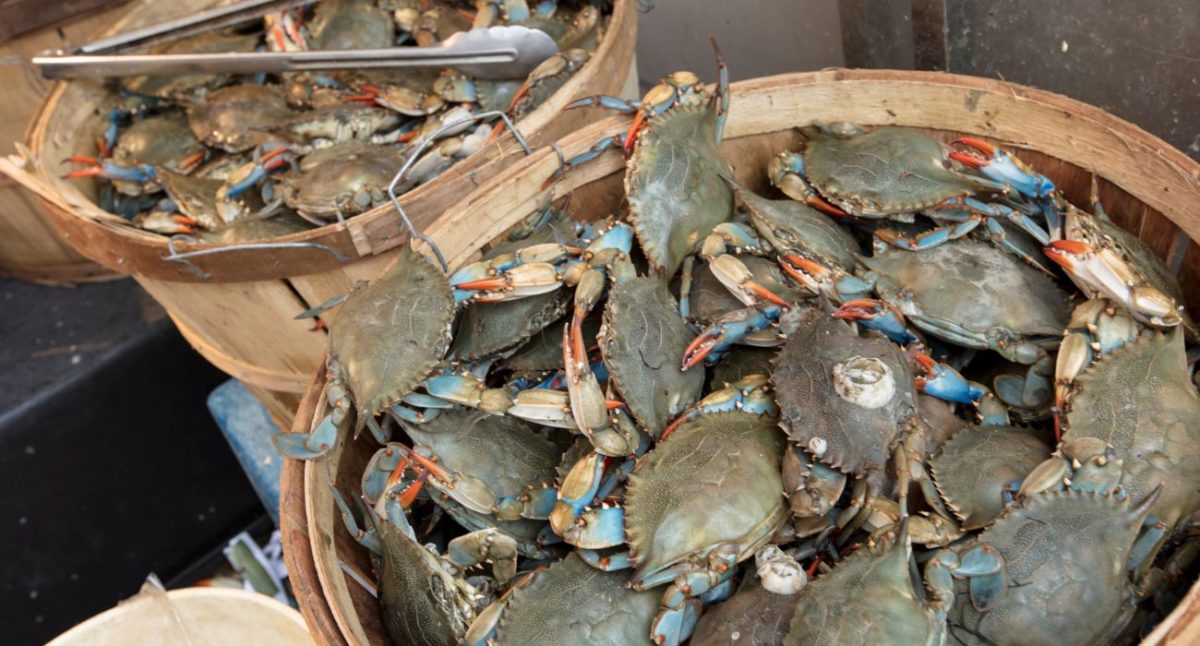 Progetto senza titolo 94 1.jpg