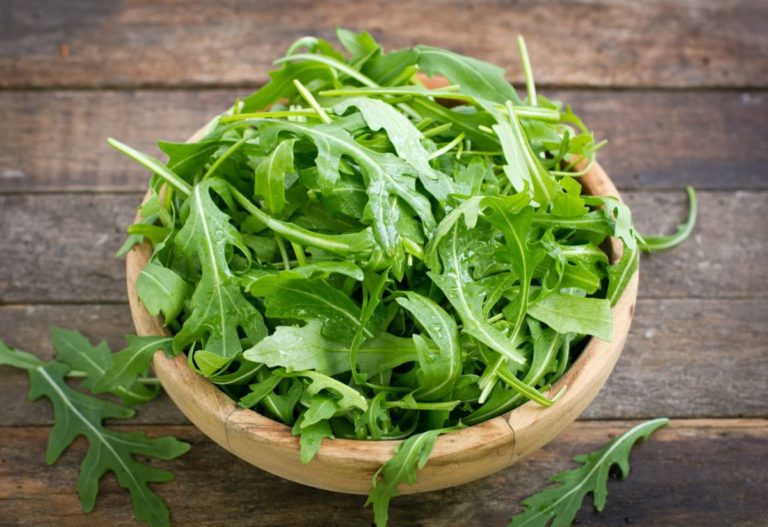 Rucola1 scaled.jpeg