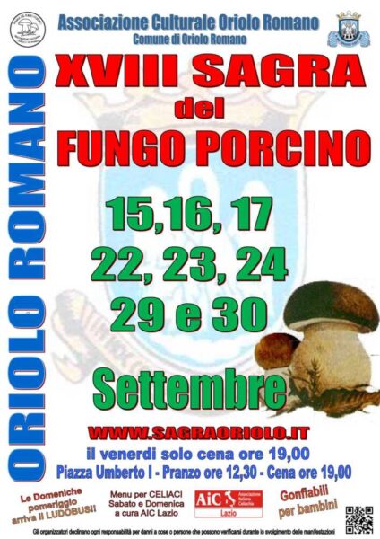 SAGRA DEL FUNGO PORCINO 424x600.jpg