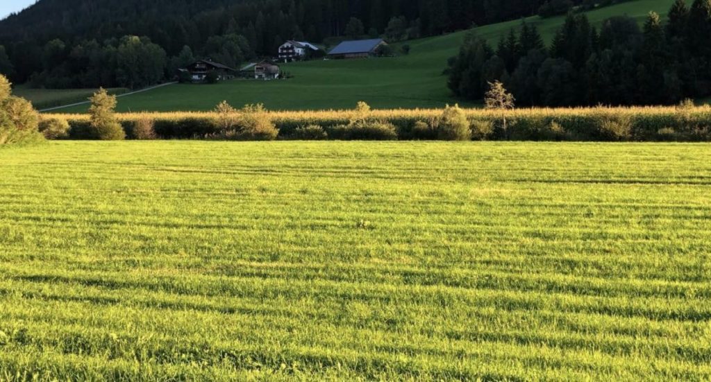 Trentino Alto Adige valle 1.jpg