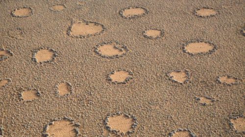 fairy circles namibia 1 500x281.jpg