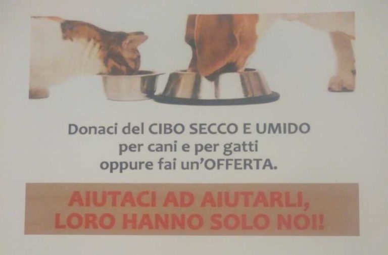 fare verde animali.jpg