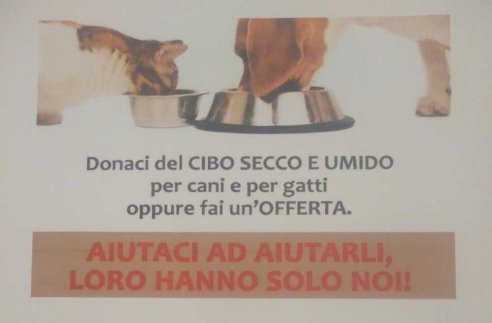 fare verde animali.jpg