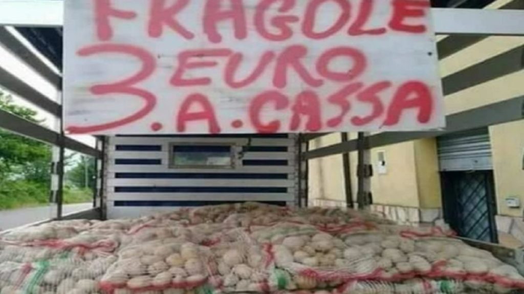 fragole patate cartello divertente frutta.jpg