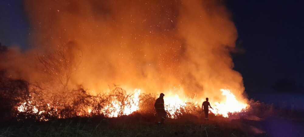 incendio prociv cerveteri via zambra 2.jpeg