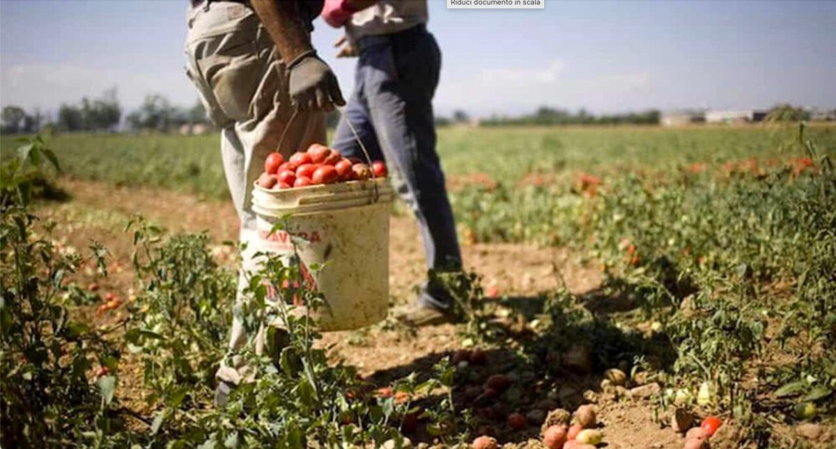 lavoro irregolare.jpg