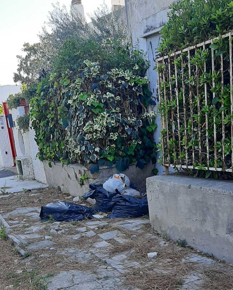 “A Santa Marinella lo spazzamento non si effettua da mesi” 1 rifiuti santa marinella.jpg