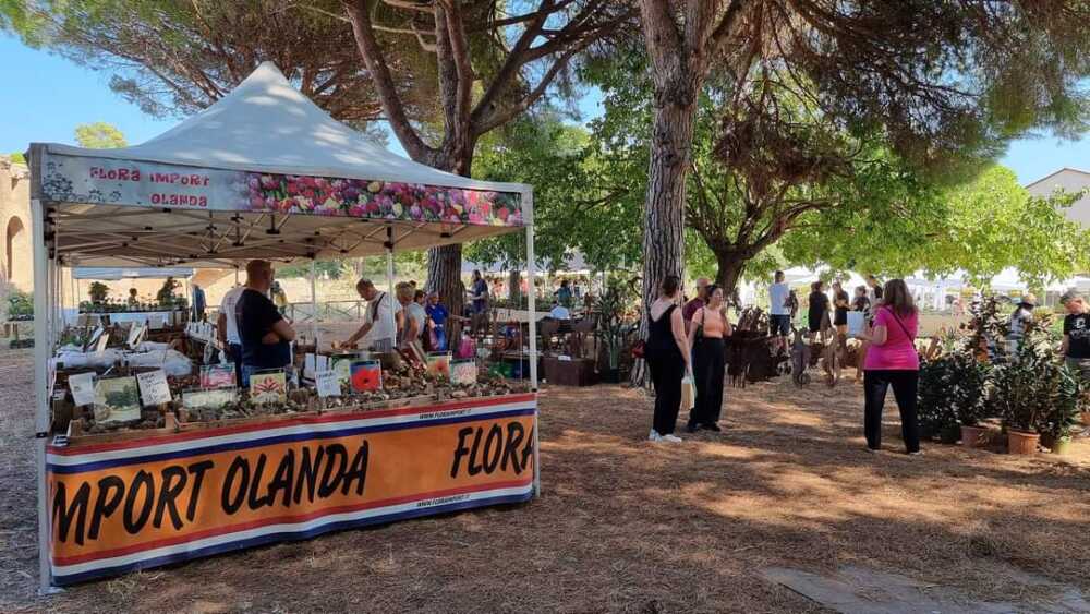 Successo per la XII Edizione di “Terme in Fiore” a Civitavecchia 1 terme in fiore 2023 2.jpg
