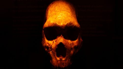 AncientHumanSkull 1 1 500x281.jpg