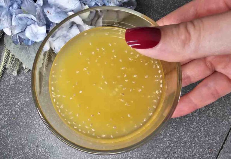 Bevanda chia limone arancia e zenzero.jpg
