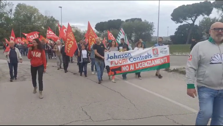 Corteo Johnson Controls.jpg