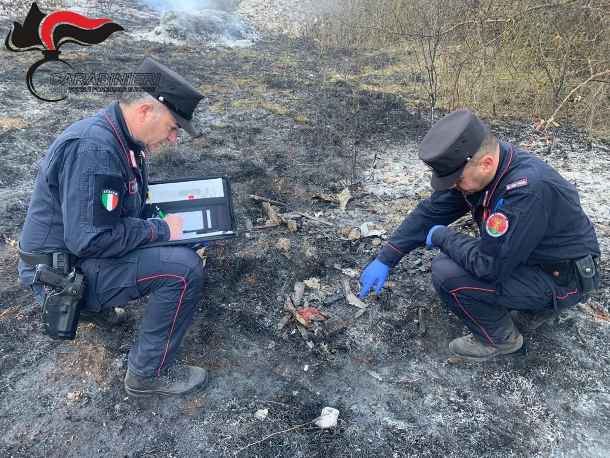 Pnalm: denunciato 50enne presunto responsabile di un incendio a Bisegna 1 Forestali INCENDIO54683.jpg