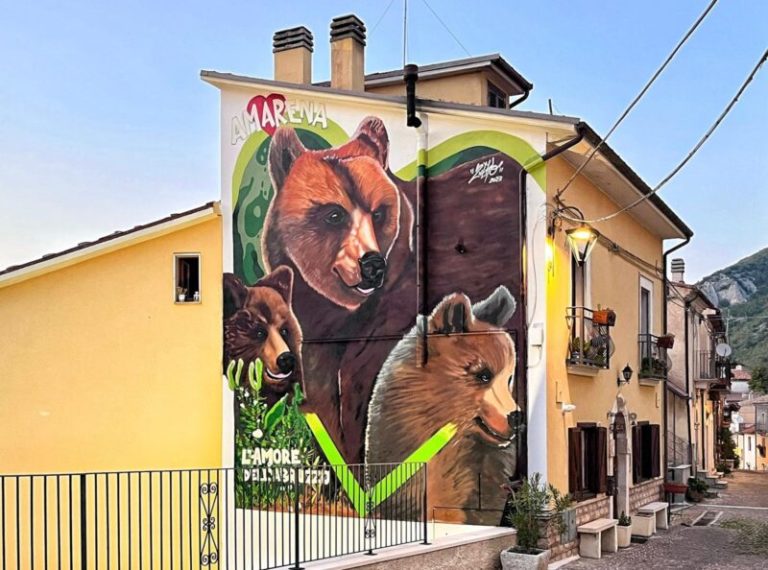 MURALE ORSA AMARENA 2 e1697014541928.jpeg