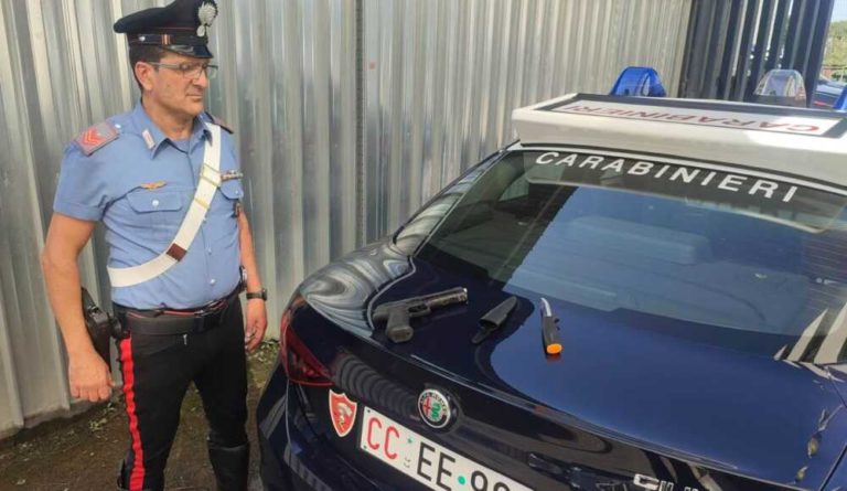 NRM Le armi sequestrate dai Carabinieri 2.jpg