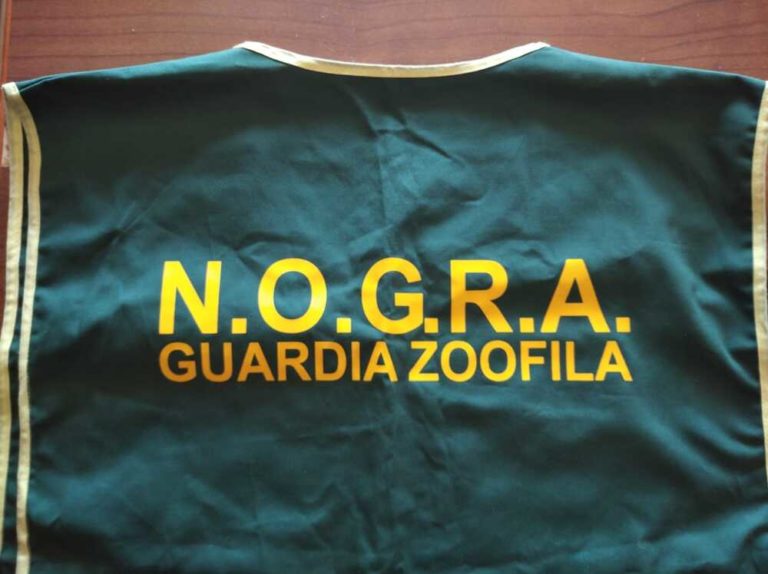 Nogra bracciano accordo ecozoofile.jpg