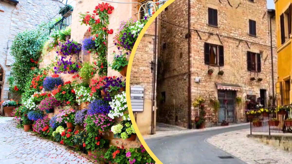 Umbria, il borgo fiorito più famoso d'Italia: esplosione di colori unica al mondo 1 Umbria 5.jpg
