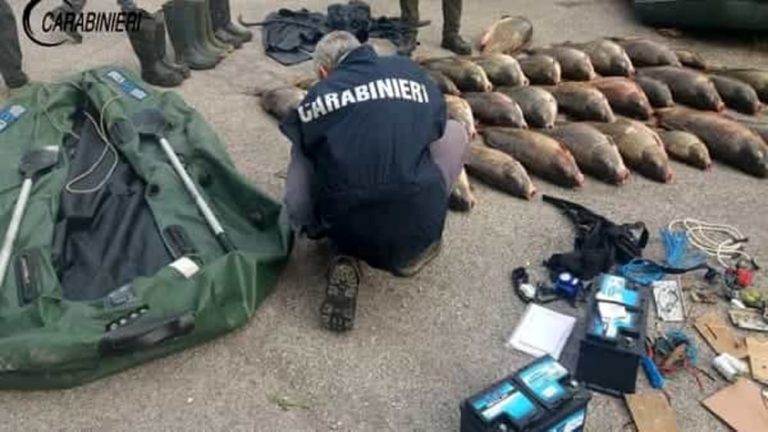 bracconaggio ittico carabinieri 2.jpg