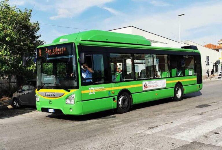 bus tpl csp stazione civitavecchia 3.jpg