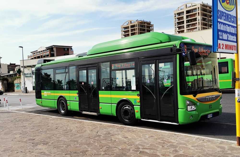 bus tpl csp stazione civitavecchia 4.jpg