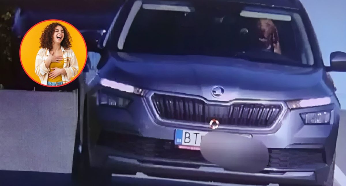 "C'è un cane che guida l'auto": ecco la polizia a chi ha multato 1 cane alla guida.jpg