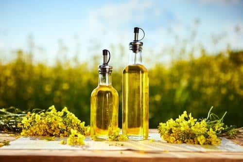canola oil m.jpg