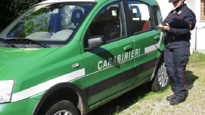 carabinieri forestali2.jpg