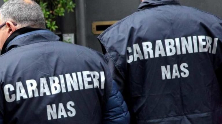 carabinieri nas 33 e1634450656994.jpg