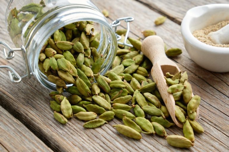 cardamomo scaled.jpeg
