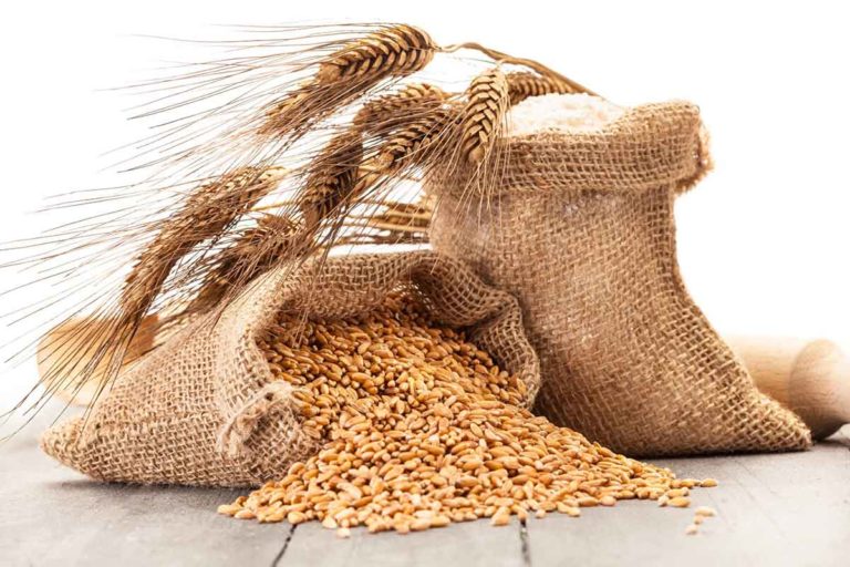 cereali grano.jpg