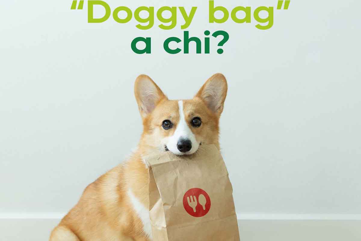 doggy bag.jpg