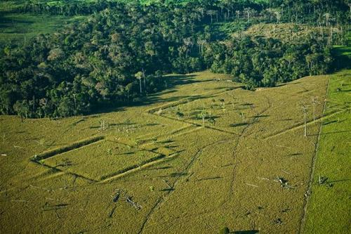 earthworks in the amazonian landscape m.jpg