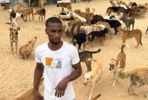 gaza cisgiordania animali per siti 300x203 1.jpg