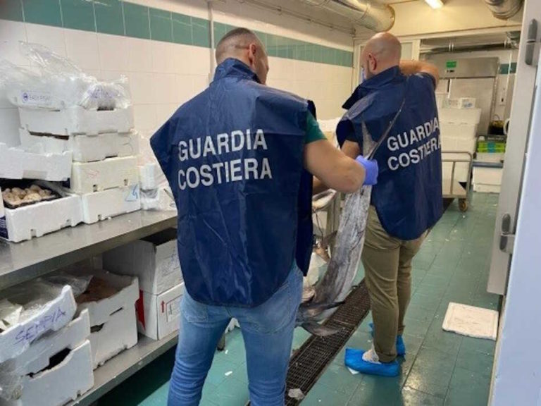 guardiacostiera civitavecchia pesce 2.jpg