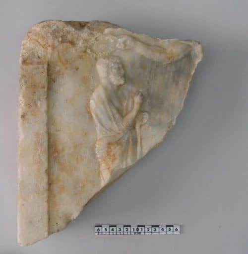 immagine 500x511.jpg