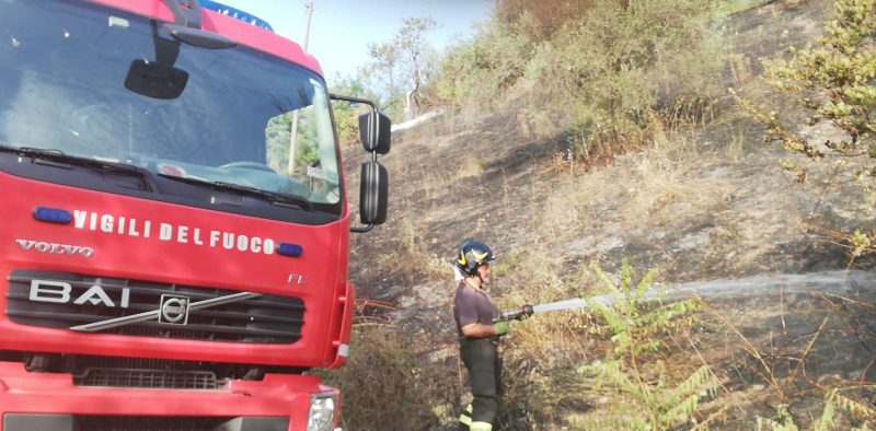 incendio sterpaglie e1565694343395.jpeg