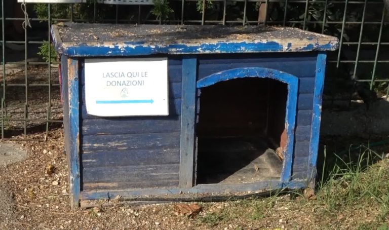 lega cane.jpg