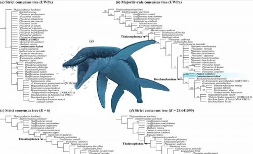 lorrainosaurus keileni m 500x304.jpg